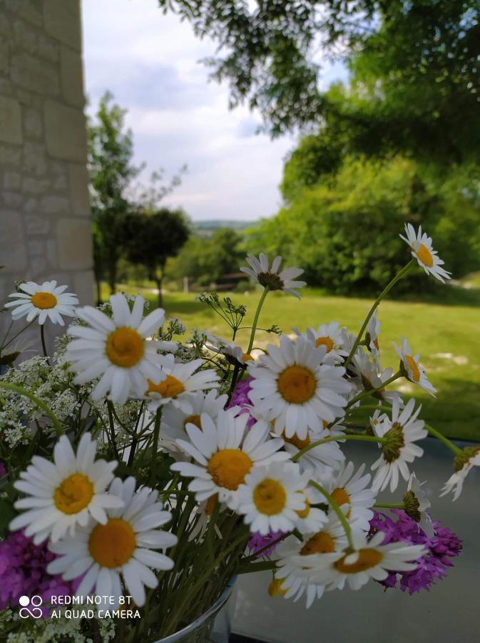 Gite La Roche Le Boulvé Zewnętrze zdjęcie